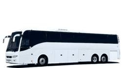 Buses